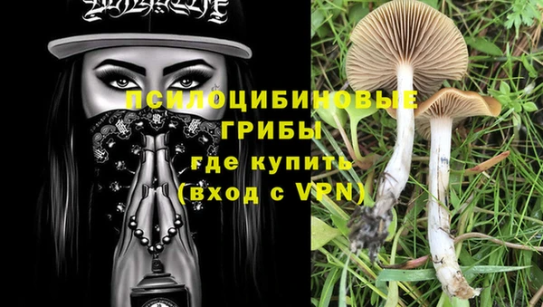 бутират Арсеньев