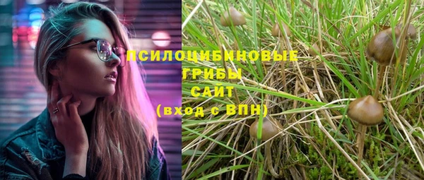 бутират Арсеньев