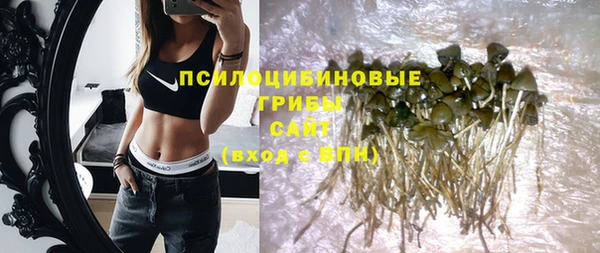 амф Алексеевка