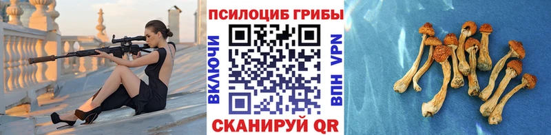 мега рабочий сайт  Дрезна  Псилоцибиновые грибы прущие грибы 