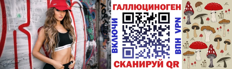 Псилоцибиновые грибы Psilocybine cubensis Дрезна