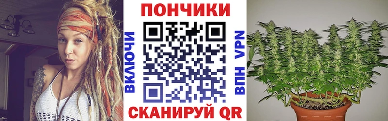 сколько стоит  Дрезна  Каннабис конопля 